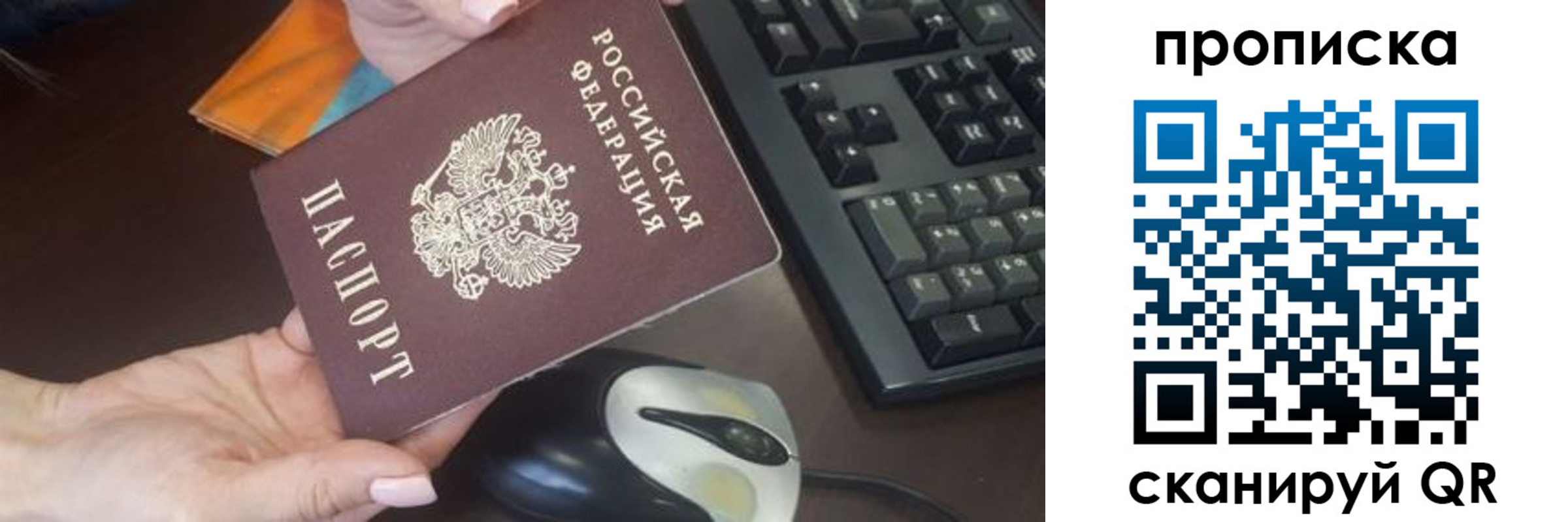 прописка гарантия в Тосно
